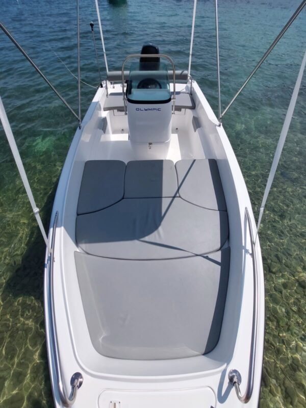 SEA BIRD - Image 6