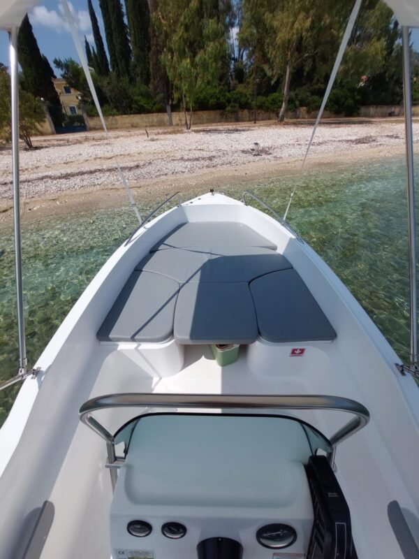 SEA BIRD - Image 4